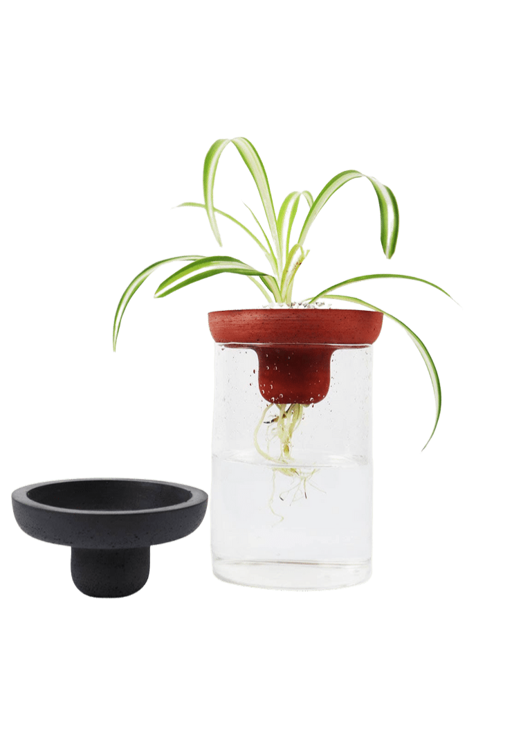 charcoal cement pot for plant